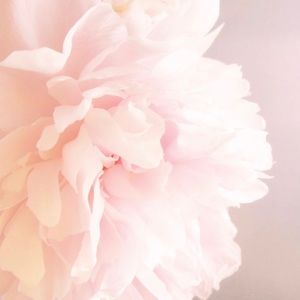 Meet your Posher, Fatima